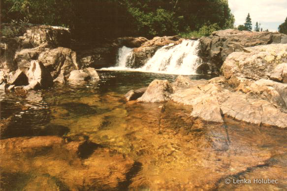 Golden Pool