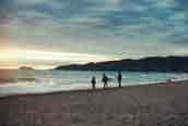 Three at Sunset