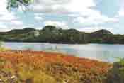 Autumnal Shoreline