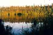 Lake in the Mirror